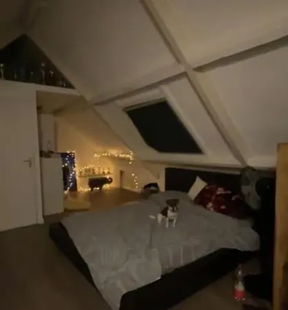 Cozy House In Apartamento